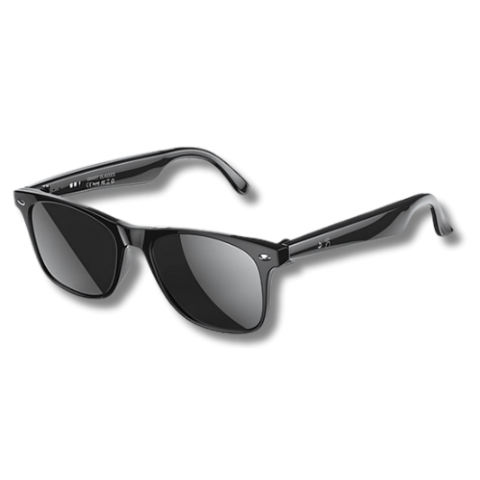 Visionix™ -  Smart Sunglasses